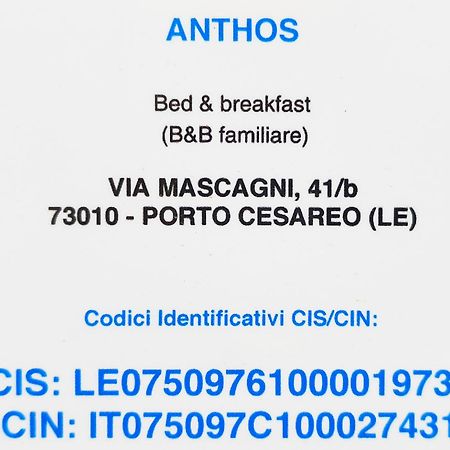 Bed Anthos Porto Cesareo Bed and Breakfast Exteriör bild